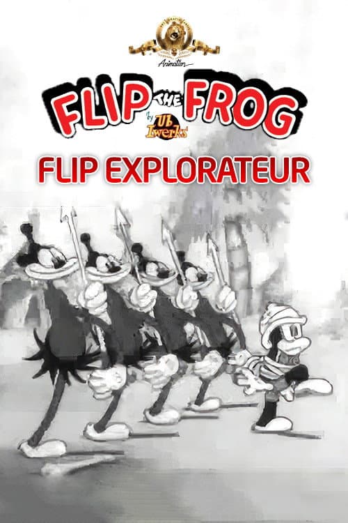 Flip explorateur
