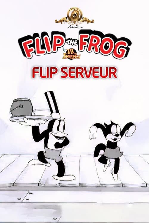 Flip serveur