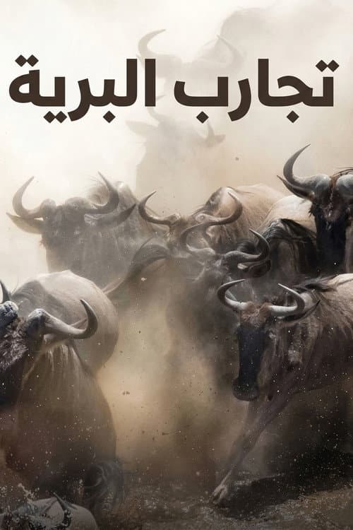 تجارب البرية
