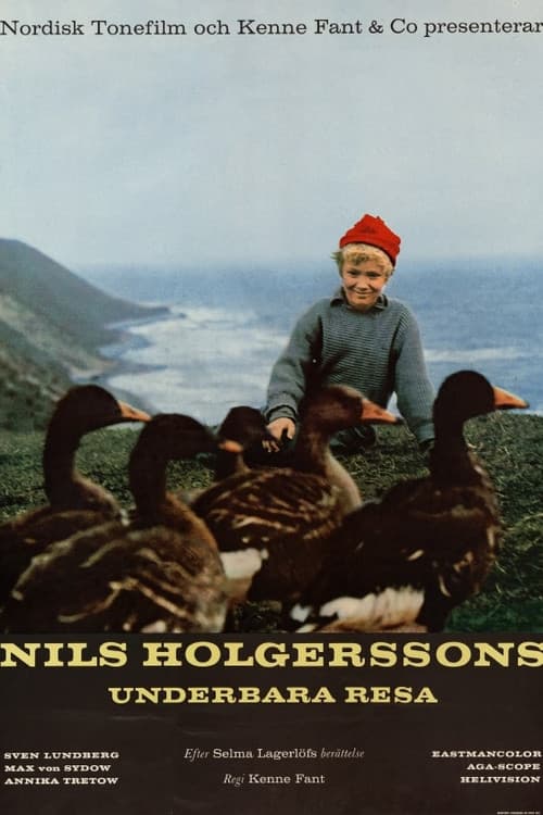 Nils Holgerssons wunderbare Reise