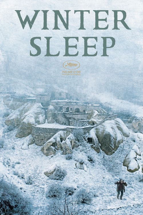 Winter Sleep
