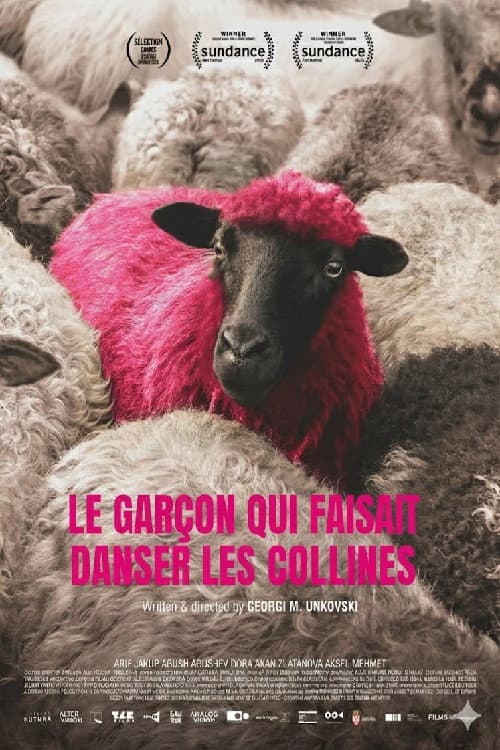 Le Garçon qui faisait danser les collines