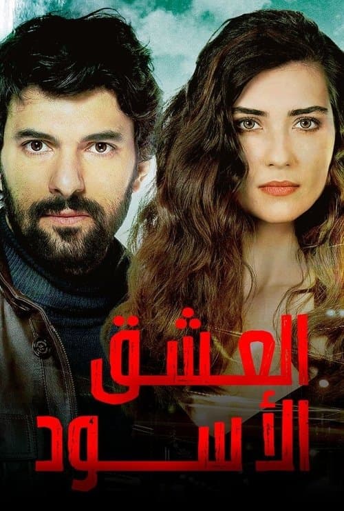 العشق الأسود