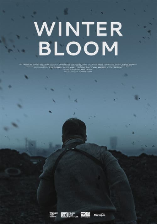 Winter Bloom