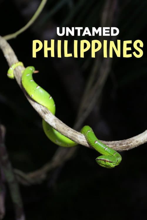 Die wilden Philippinen