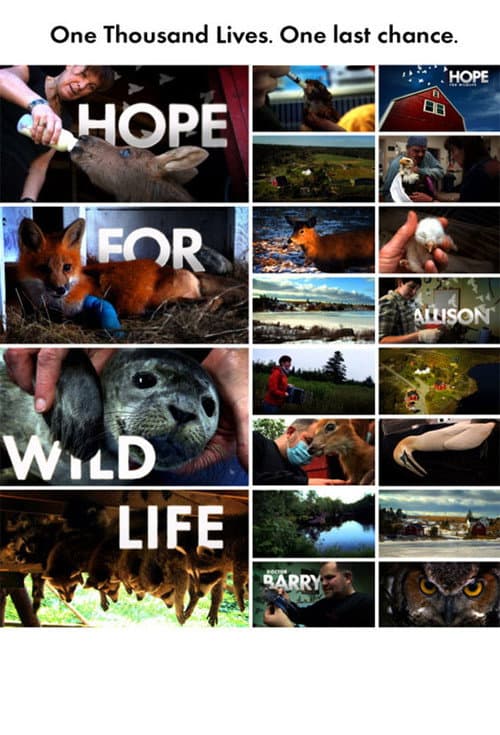Hope – Schutzengel der Wildtiere