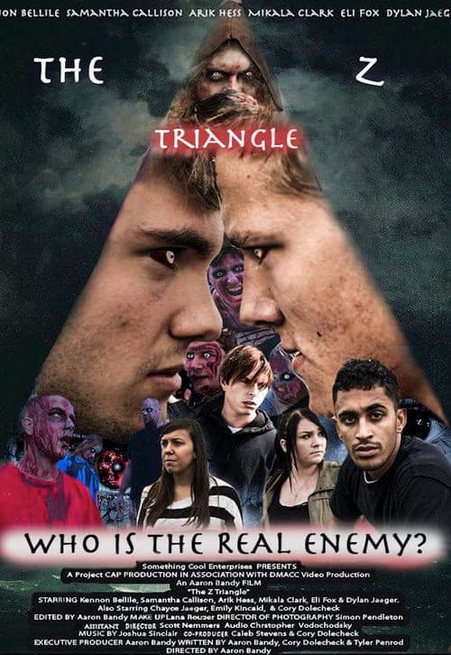 The Z Triangle