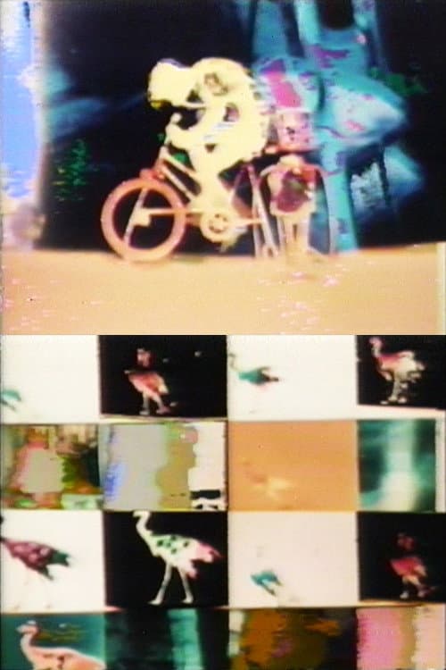 生物的サイクル No.3