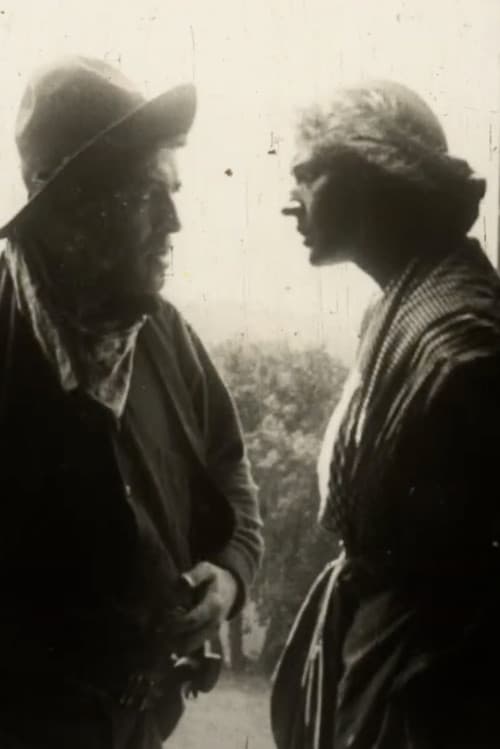 The Thief's Wife