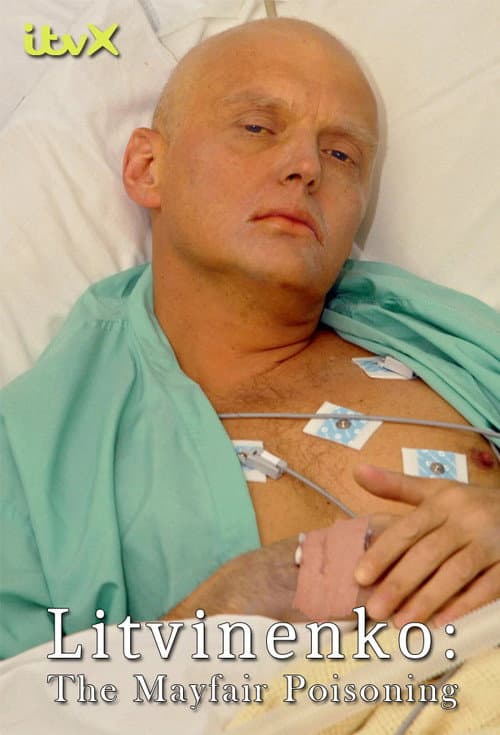 Litvinenko – Was wirklich geschah