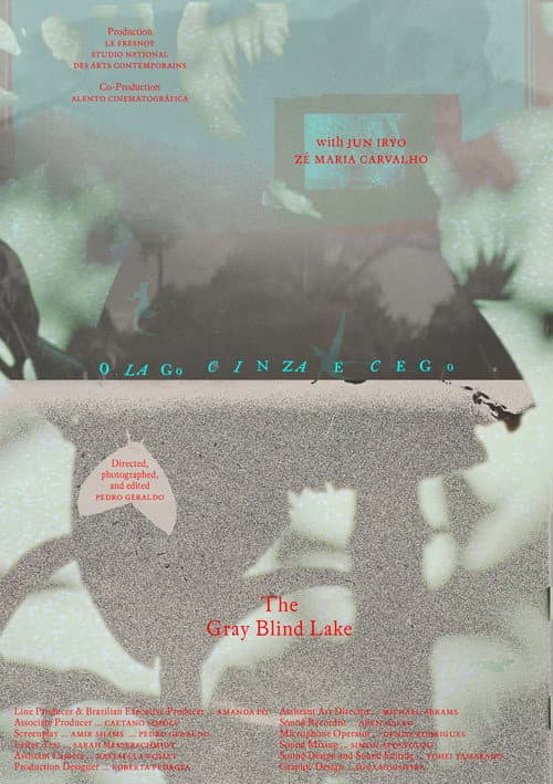O lago cinza e cego