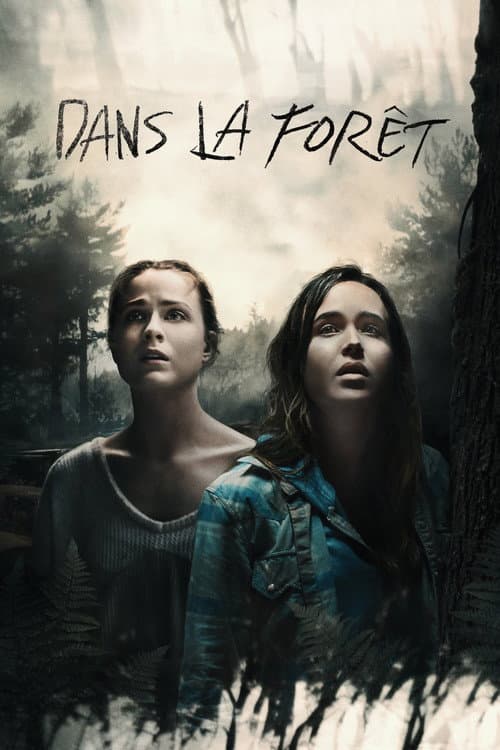 Into the Forest