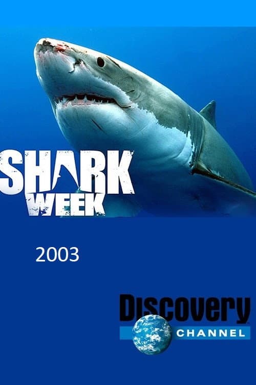 2003