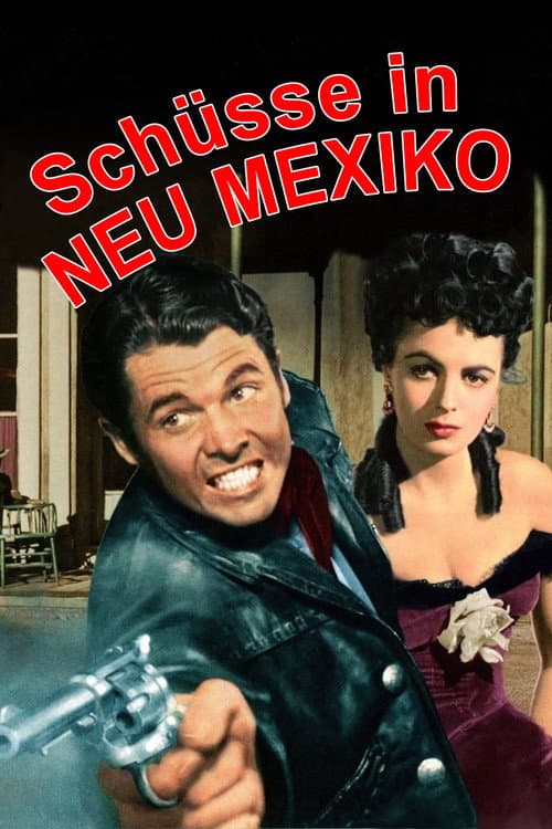 Schüsse in New Mexico