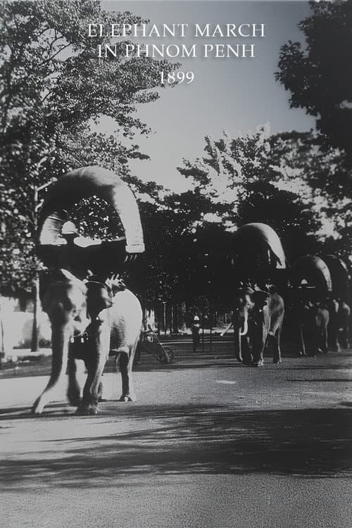 Elephant March in Phnom Penh