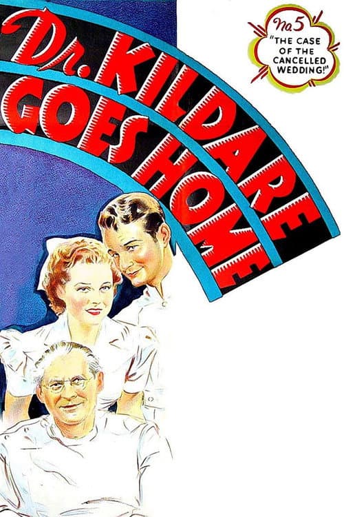 Dr. Kildare – Die Heimkehr