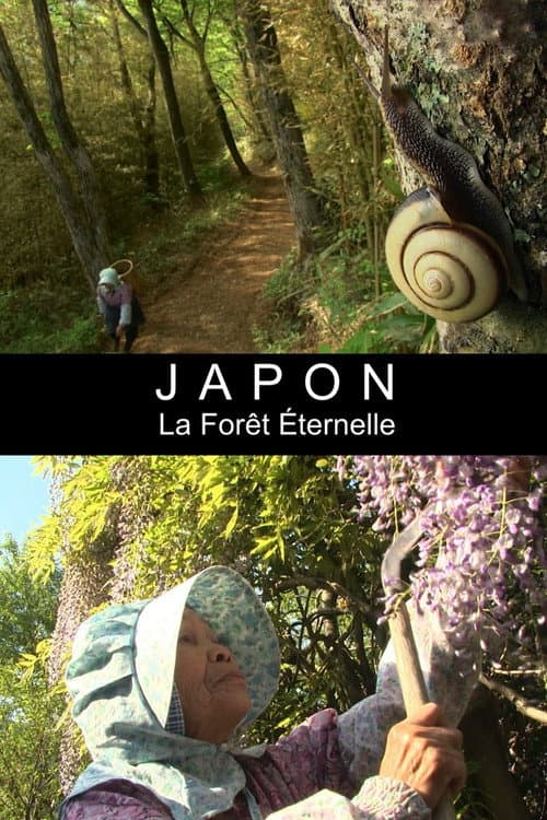 Japan - Asche und Alter