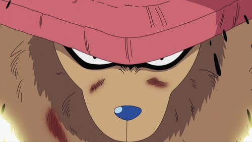 Zoan-type Devil Fruit! Chopper's Seven-form Transformation!
