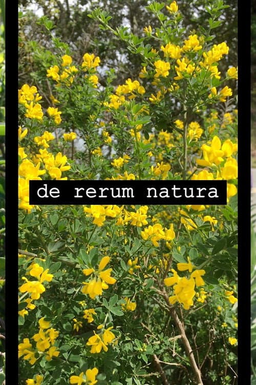 de rerum natura
