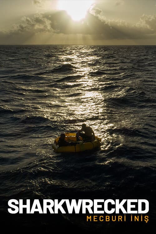 Sharkwrecked: Crash Landing