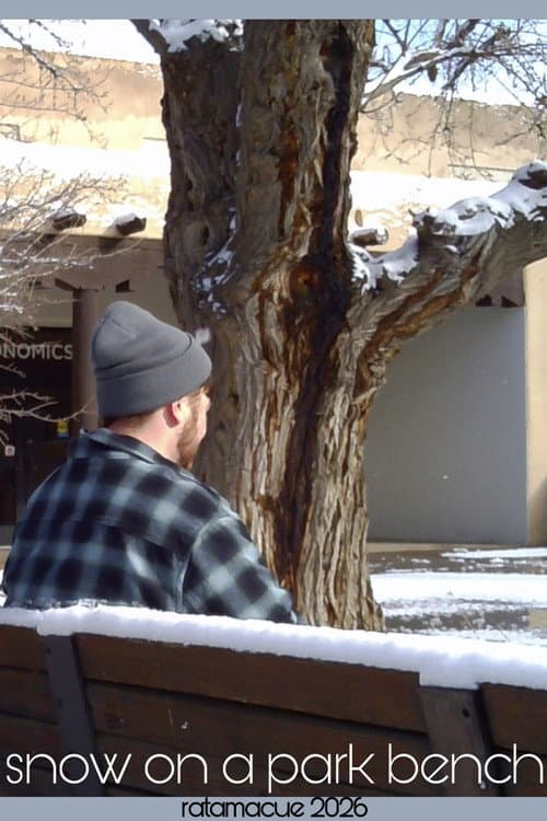 Snow on a Park Bench
