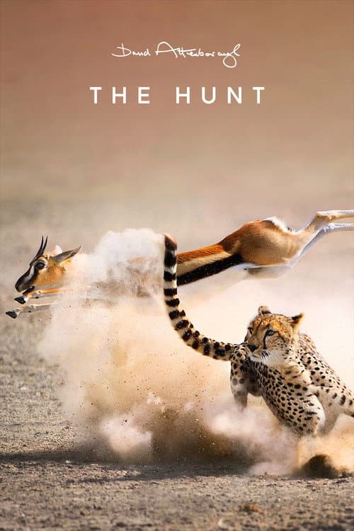 Miniseries