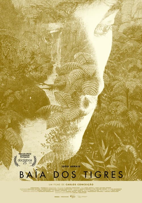 Baía dos Tigres