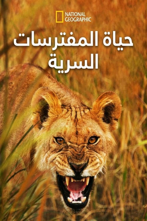 حياة المفترسات السرية