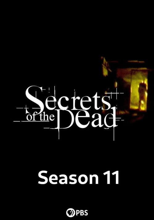 Season 11