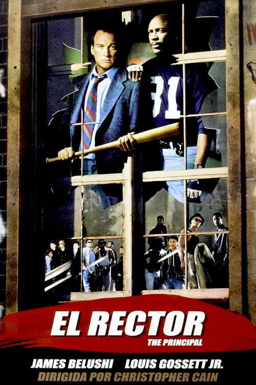 El rector