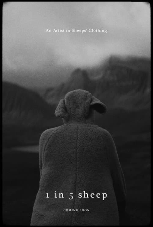 1 In 5 Sheep