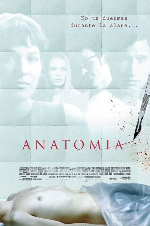 Anatomía