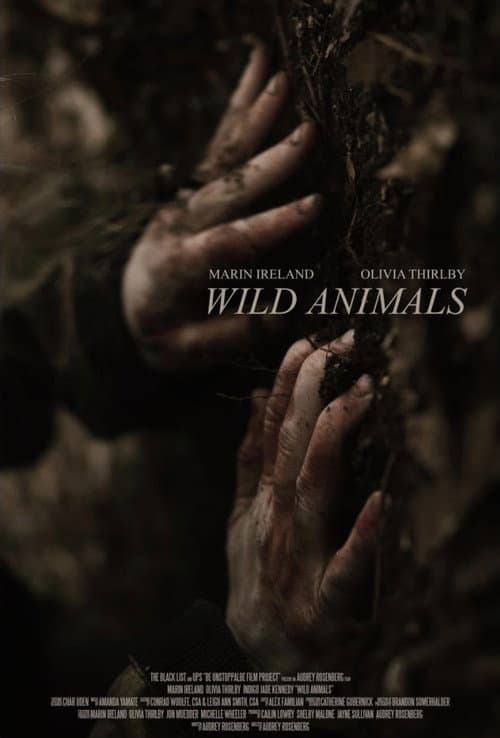 Wild Animals
