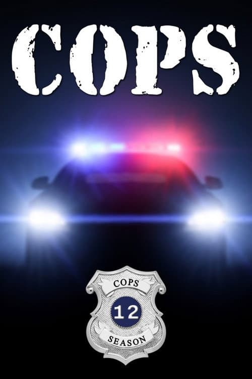 Season 12