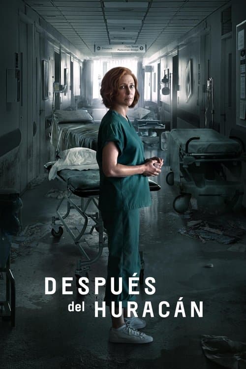 Después del huracán