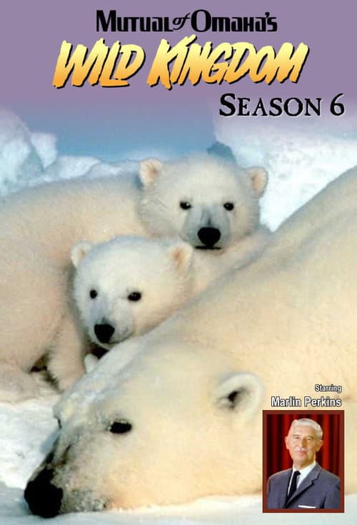 Season 6