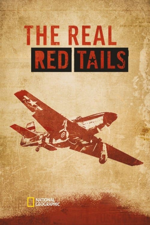 Die Red Tails: Amerikas erste Schwarze Kampfpiloten
