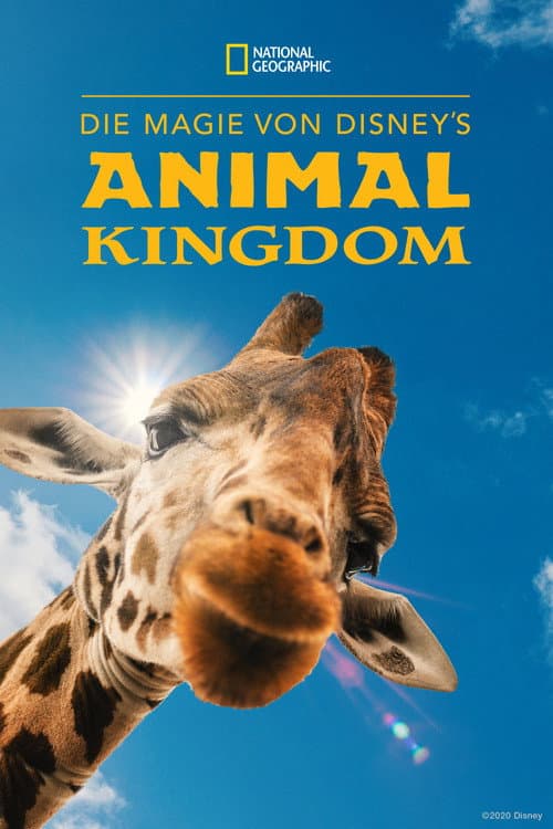Die Magie von Disney's Animal Kingdom