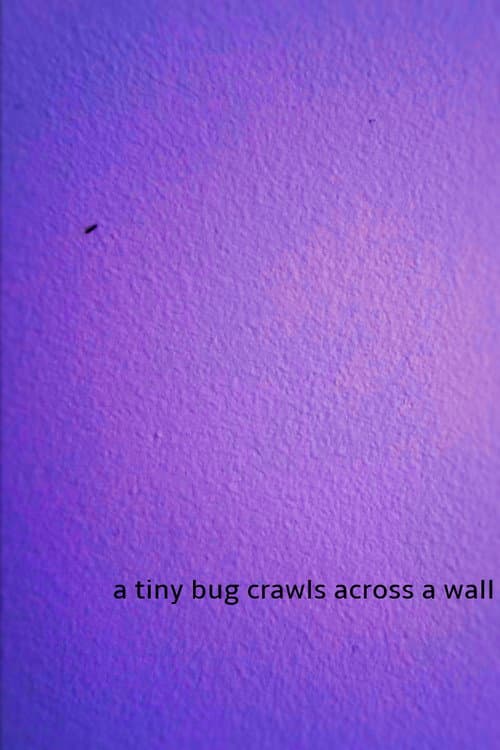 a tiny bug crawls across a wall