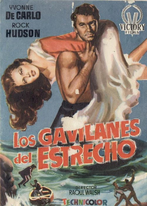 Los gavilanes del estrecho
