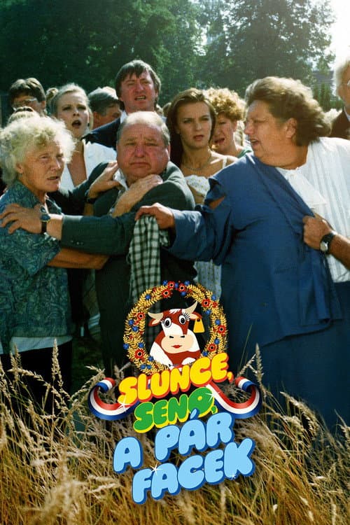 Slunce, seno a pár facek