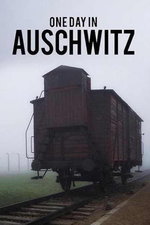 Auschwitz - One Day