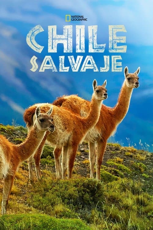 Chile Salvaje
