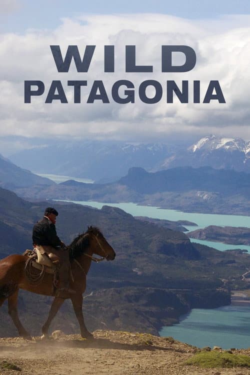 Patagonia Salvaje