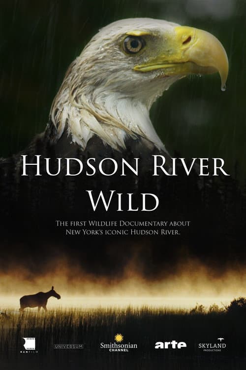 Hudson River - Der Fluss zwischen Wildnis und Skyline