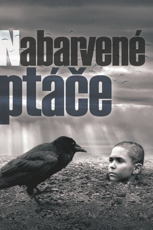Nabarvené ptáče