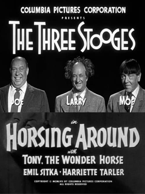 Horsing Around