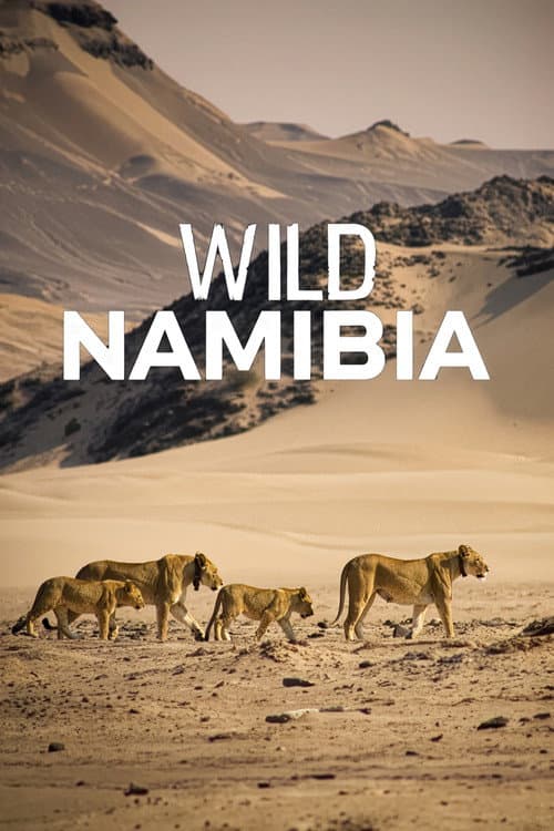 Namibia - Flüsse Aus Sand