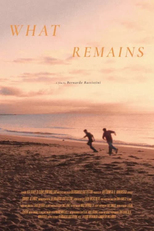 What Remains