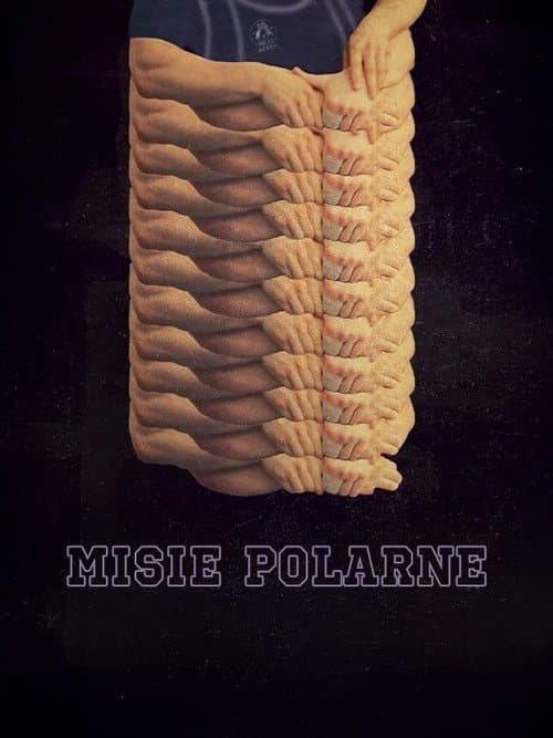 Misie polarne